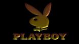 Playboy logobanner