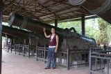 I'm Miss Tu, Hue City VietNam and WajahAsia member