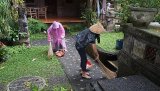 26 aug 2025 Ubud Bali
