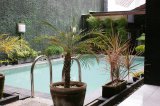 Guesthouse and Restaurant GadinG Yogyakarta Indonesia